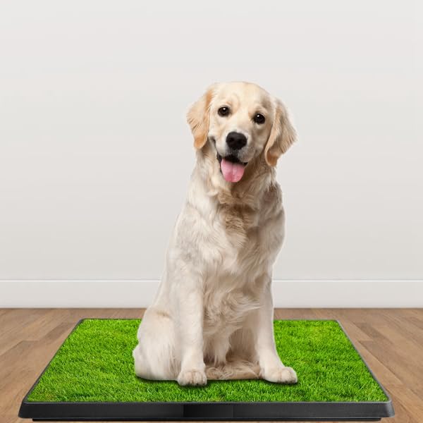 Indoor Outdoor Dog Potty with Artificial Turf Grass Mat 25x20 in U473440