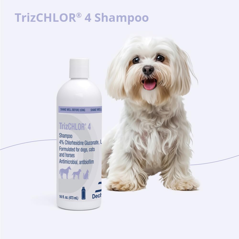 Shampoo for Dogs, Cats and Horses, 16 Ounce V27644