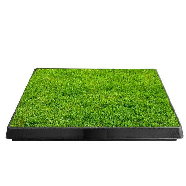 Indoor Outdoor Dog Potty with Artificial Turf Grass Mat 25x20 in U473440