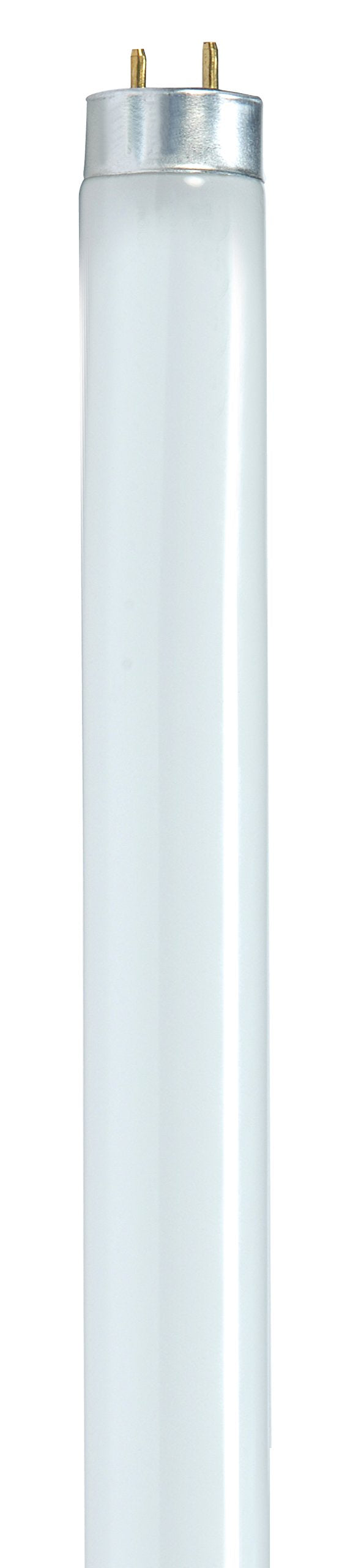 24-Inch 6500K 17-Watt T8 Daylight Lamp T3024