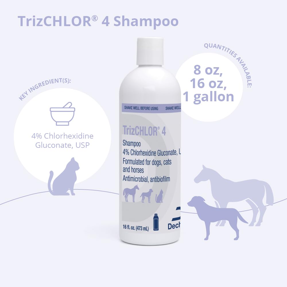 Shampoo for Dogs, Cats and Horses, 16 Ounce V27644