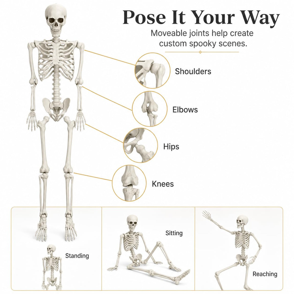5.4 FT Poseable Skeleton A207527