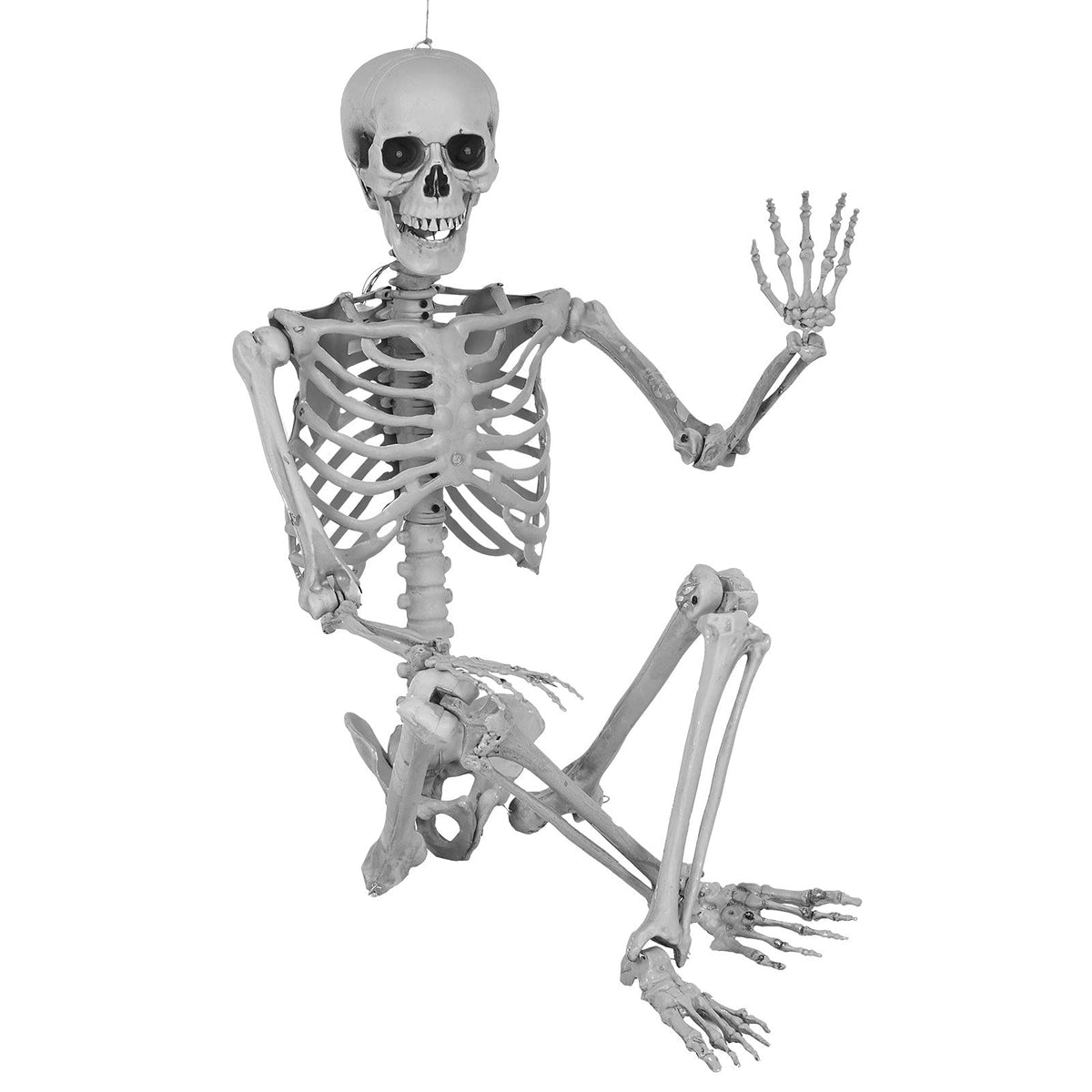 5.4 Ft Lighted Life Size Plastic Skeleton with Movable Joint B431443