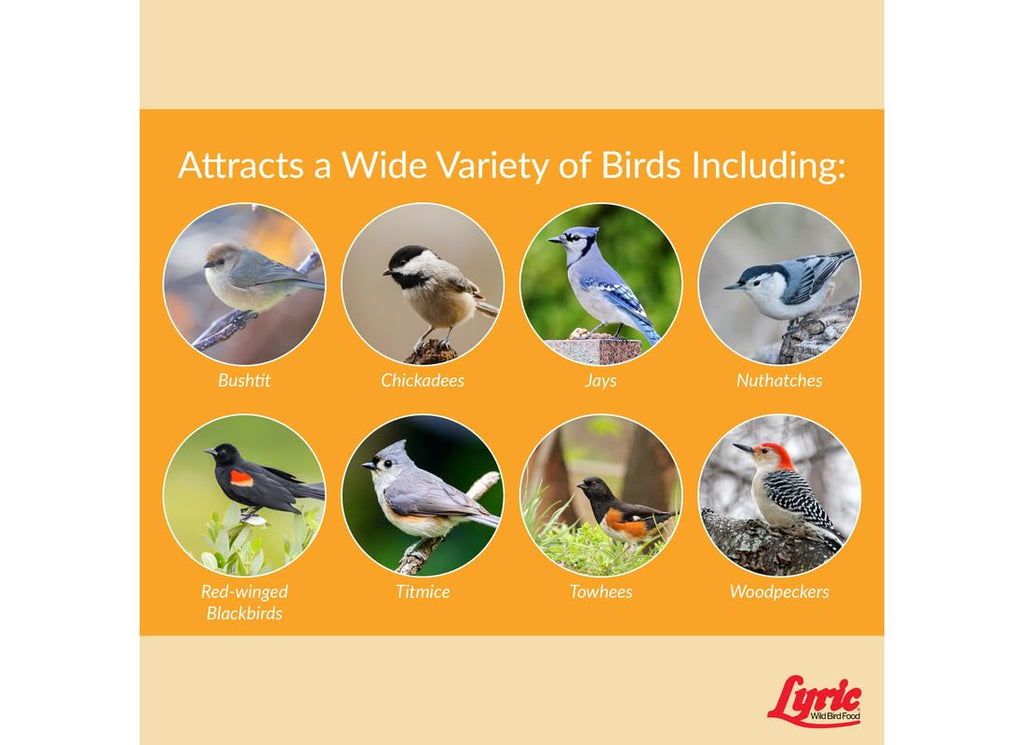 Wild Bird Seed 20 lb Bag Z484263
