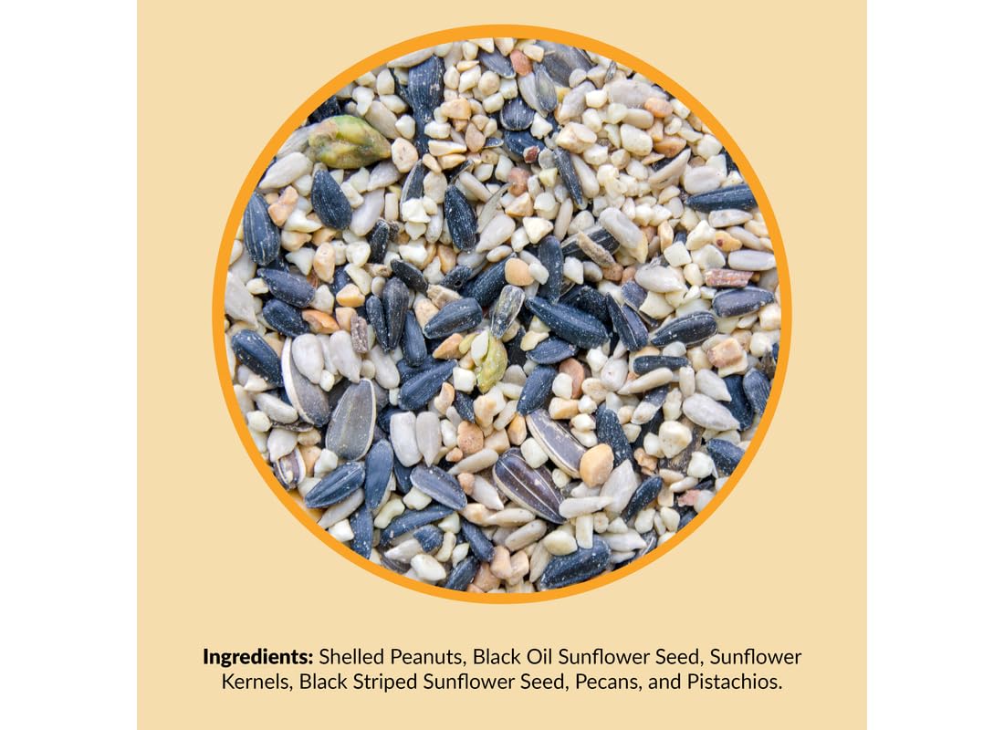 Wild Bird Seed 20 lb Bag Z484263