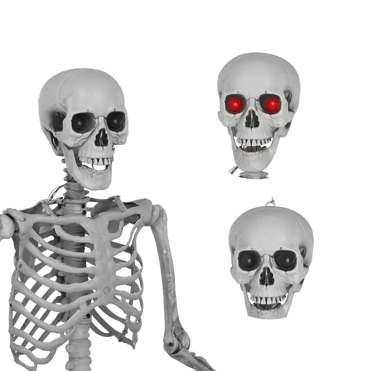 5.4 Ft Lighted Life Size Plastic Skeleton with Movable Joint B431443