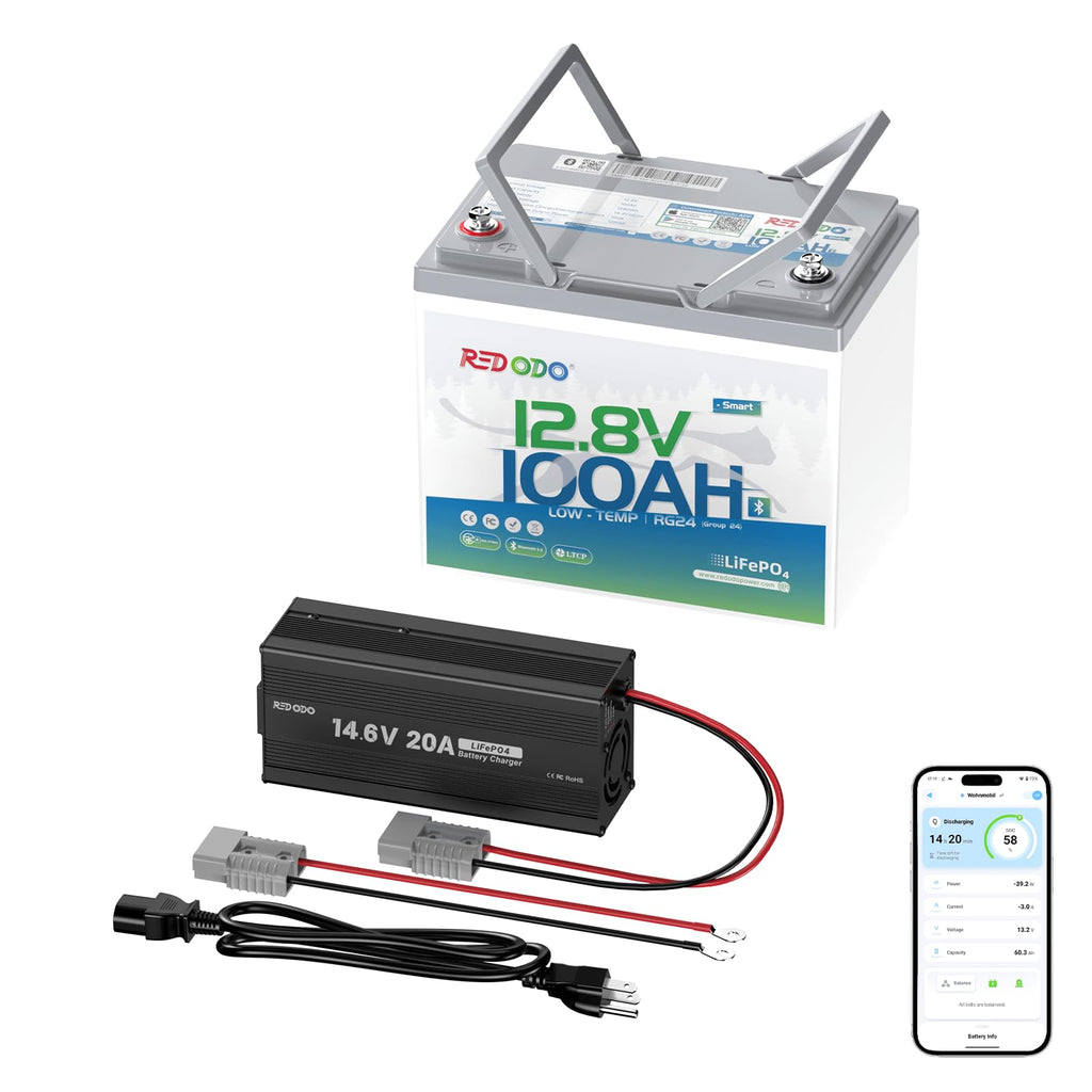12V 100Ah LiFePO4 Battery with Charger Z309
