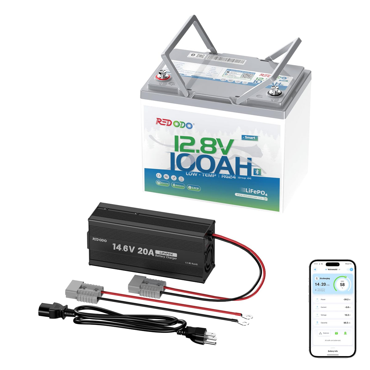 12V 100Ah LiFePO4 Battery with Charger Z309