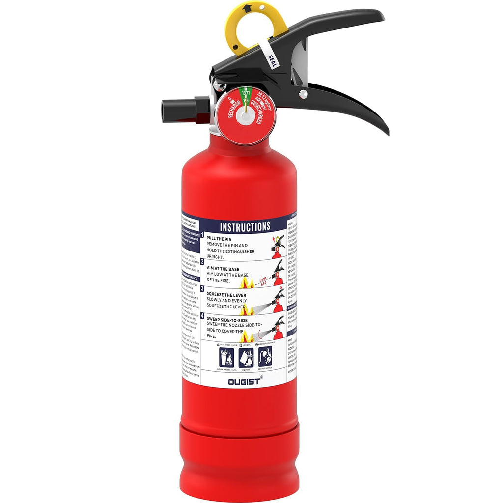 2.5 lb Dry Chemical Fire Extinguisher W168