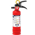 2.5 lb Dry Chemical Fire Extinguisher W168