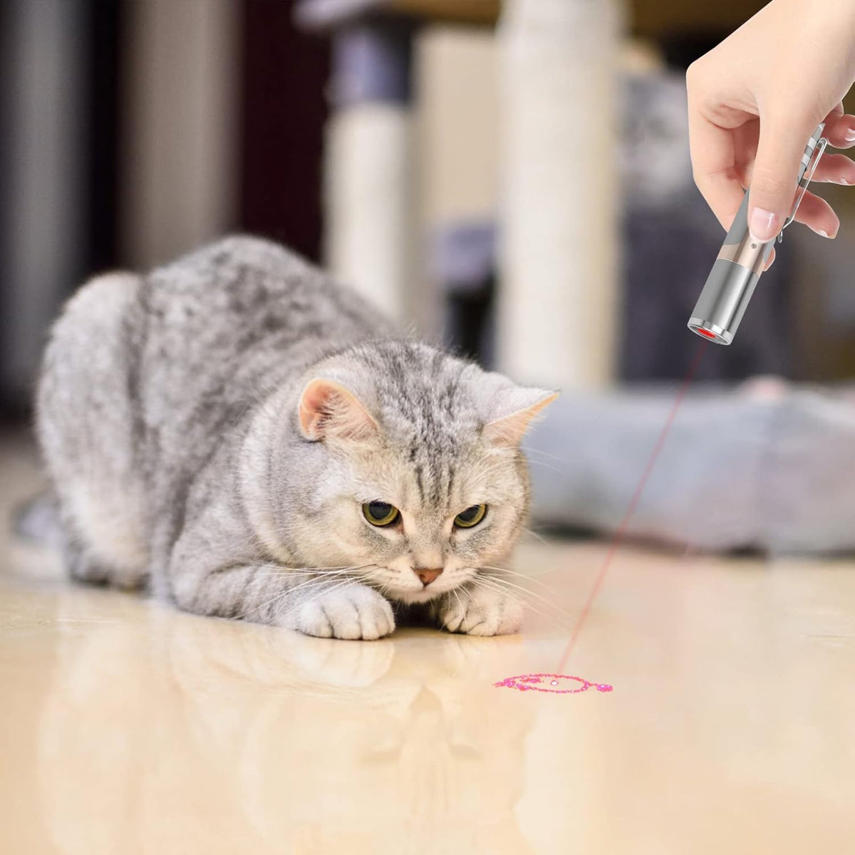 Cat Toys, 2 Pieces, Rechargeable, 7 Adjustable Patterns P6578
