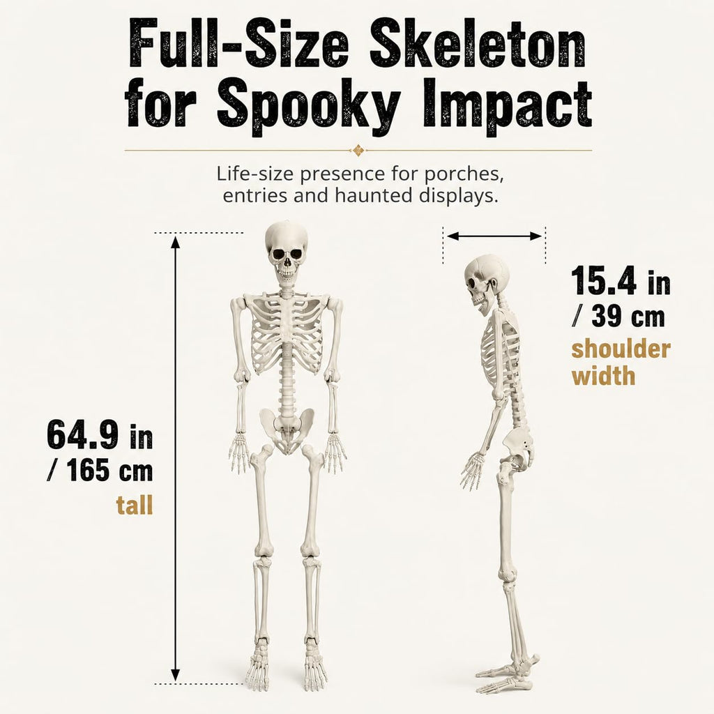 5.4 FT Poseable Skeleton A207527