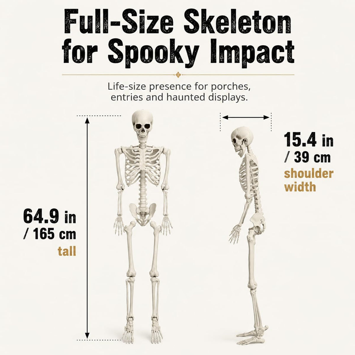 5.4 FT Poseable Skeleton A207527