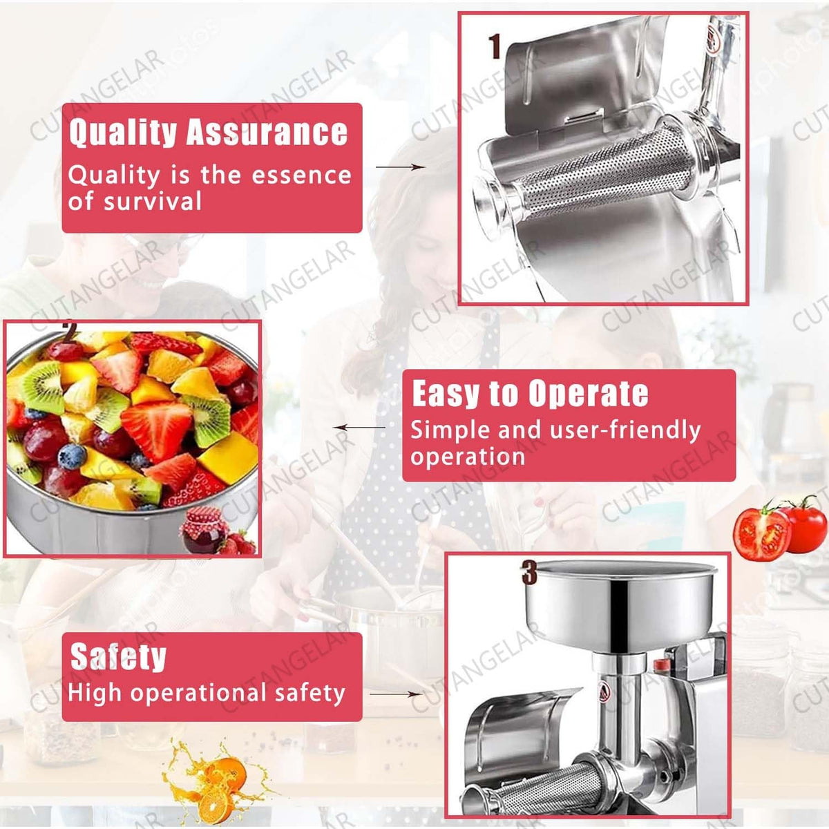450W Stainless Steel Electric Sauce Strainer L707919