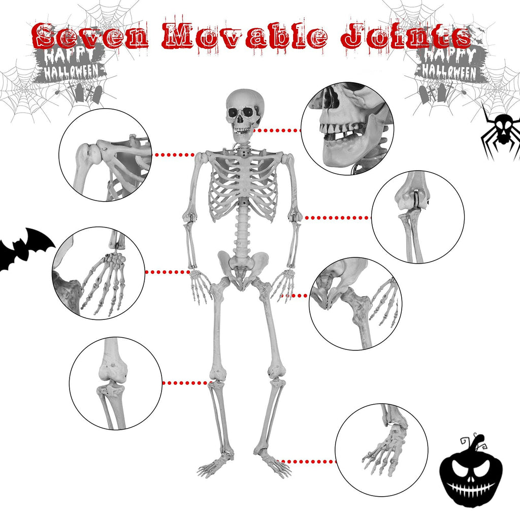 5.4 Ft Lighted Life Size Plastic Skeleton with Movable Joint B431443