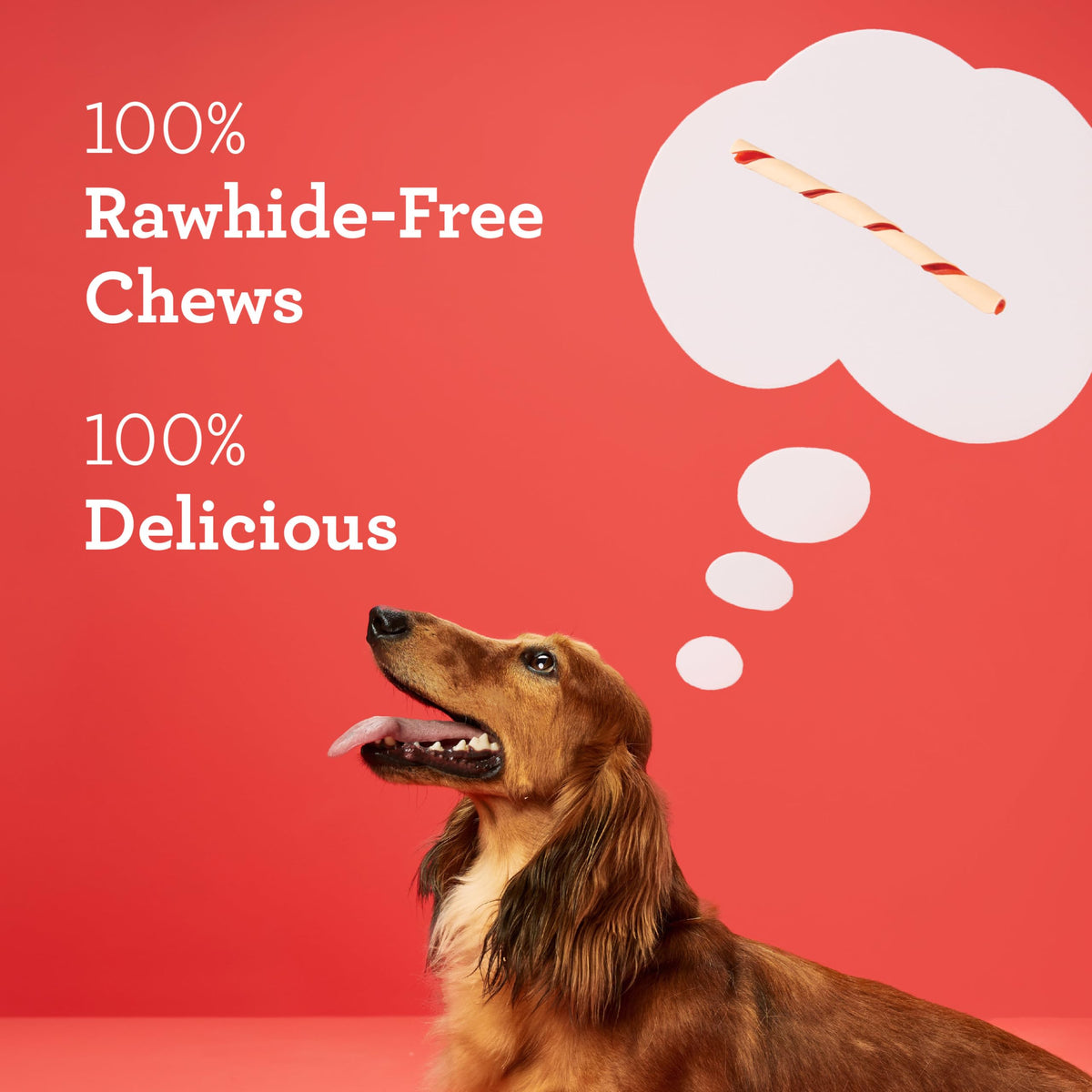 Rawhide-Free Dog Treats With Real Protein, 50 Count R94993