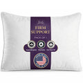 King Size Down Alternative Pillows Set of 2 Y6650