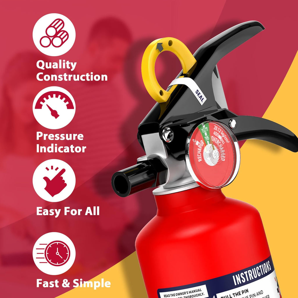 2.5 lb Dry Chemical Fire Extinguisher W168