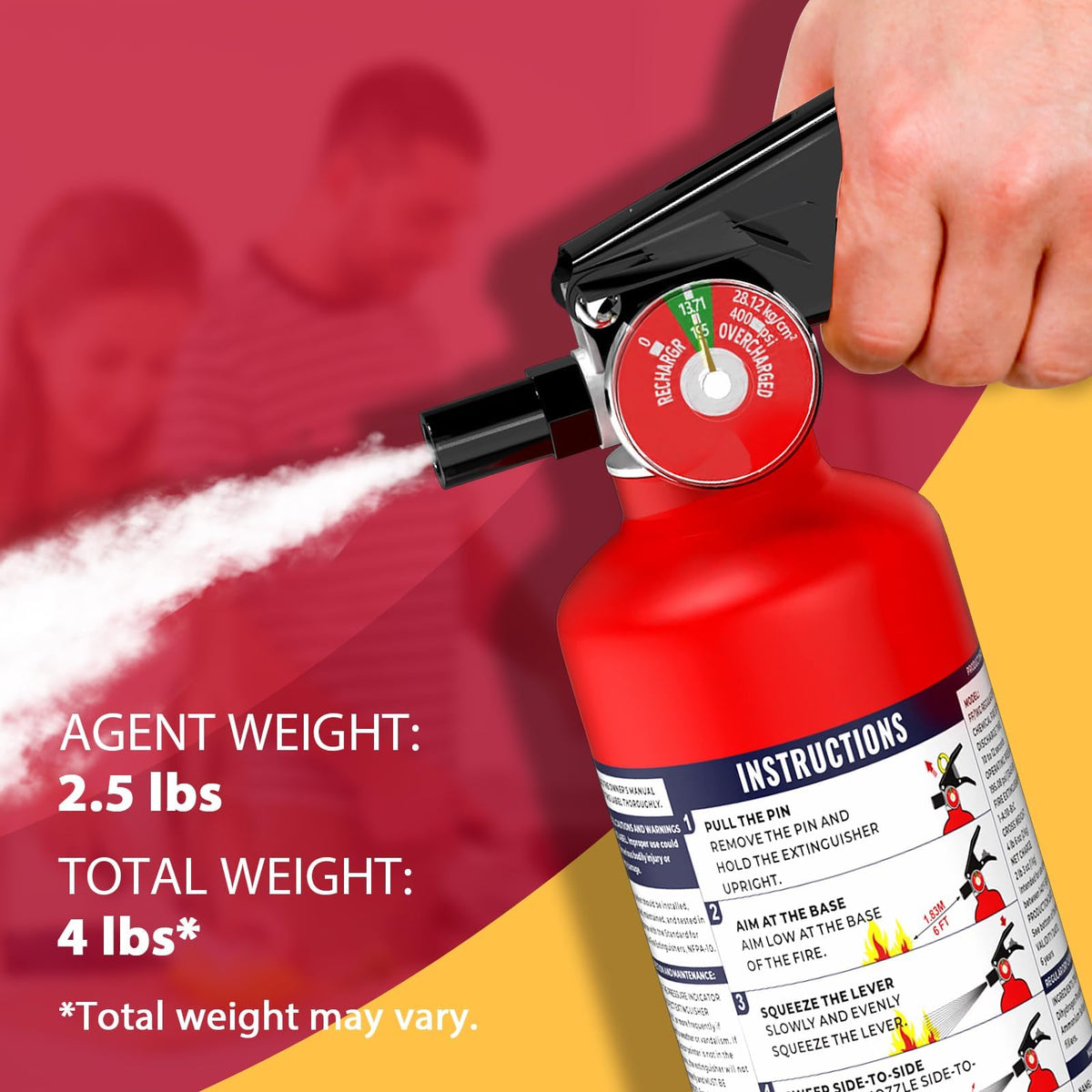 2.5 lb Dry Chemical Fire Extinguisher W168