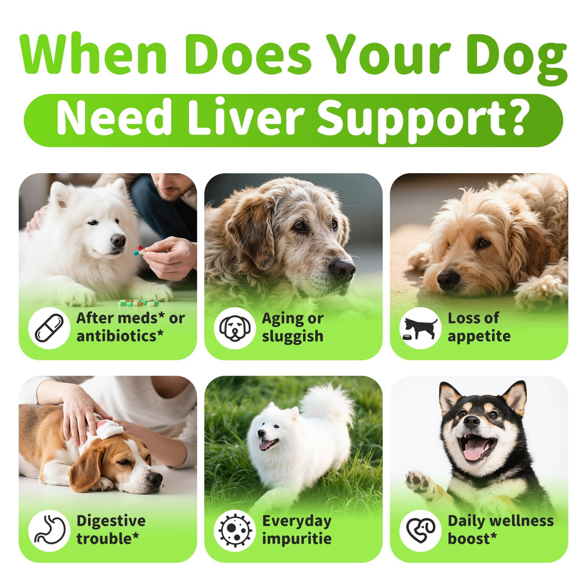 Dog Liver Support Chews with Milk Thistle V9236