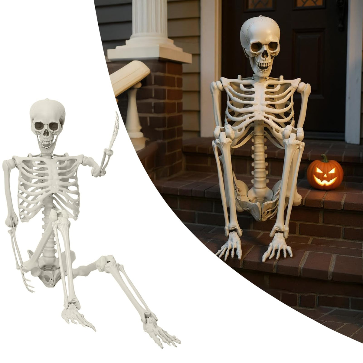 5.4ft Poseable Skeleton U4600