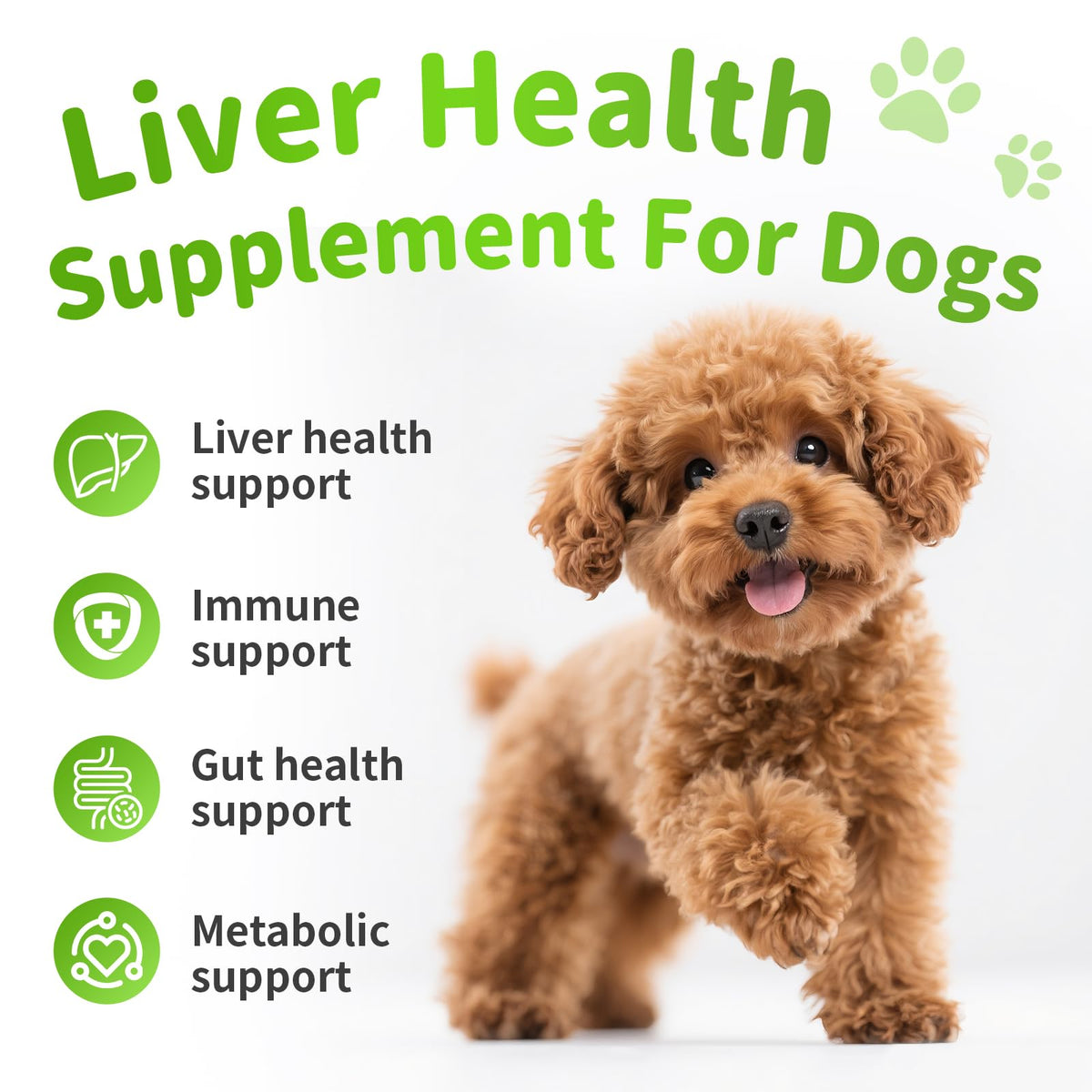 Dog Liver Support Chews with Milk Thistle V9236