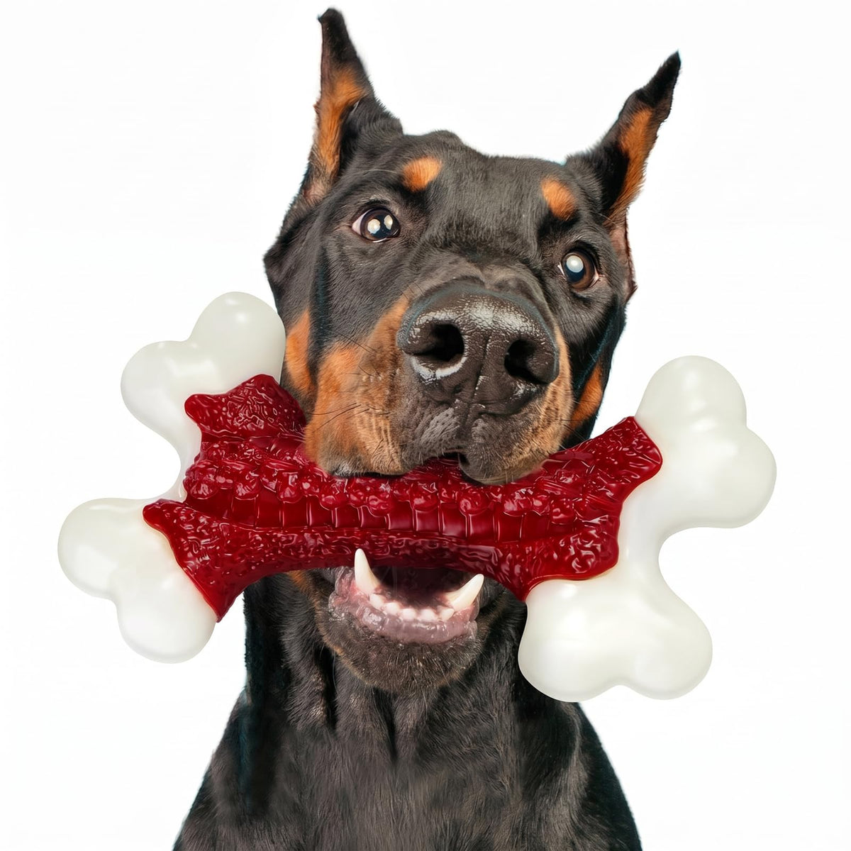 Tough Dog Chew Toys U307065