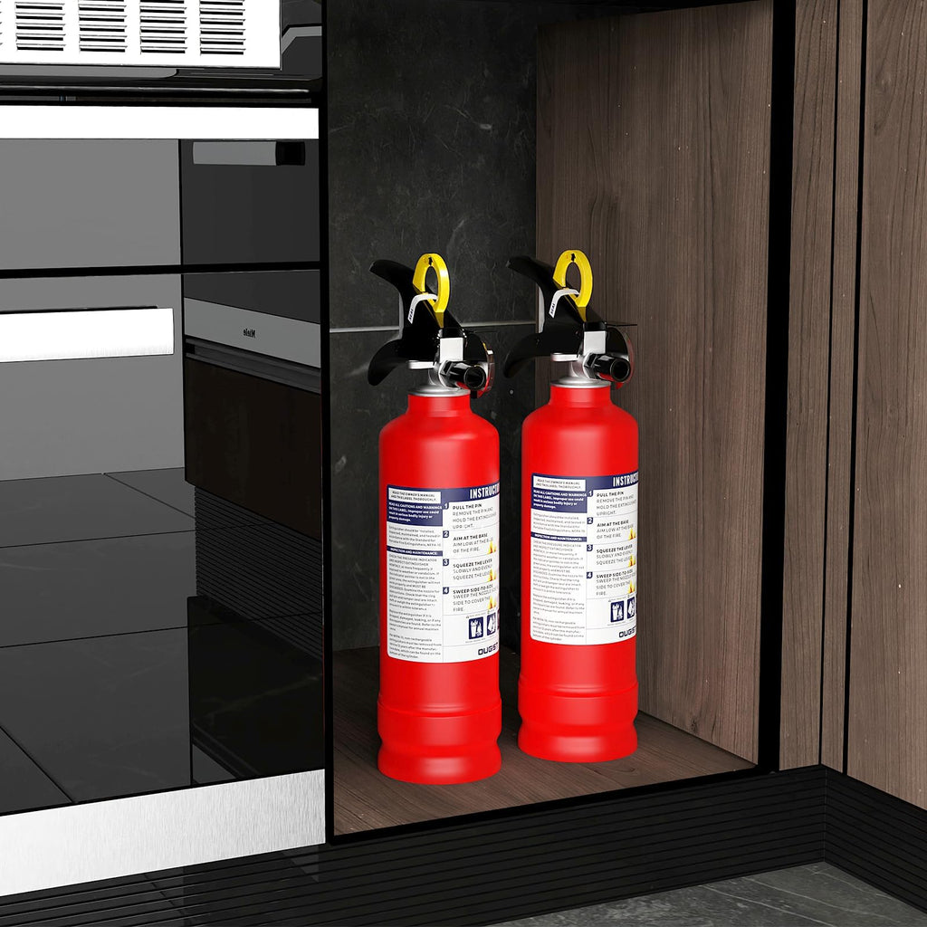 2.5 lb Dry Chemical Fire Extinguisher W168