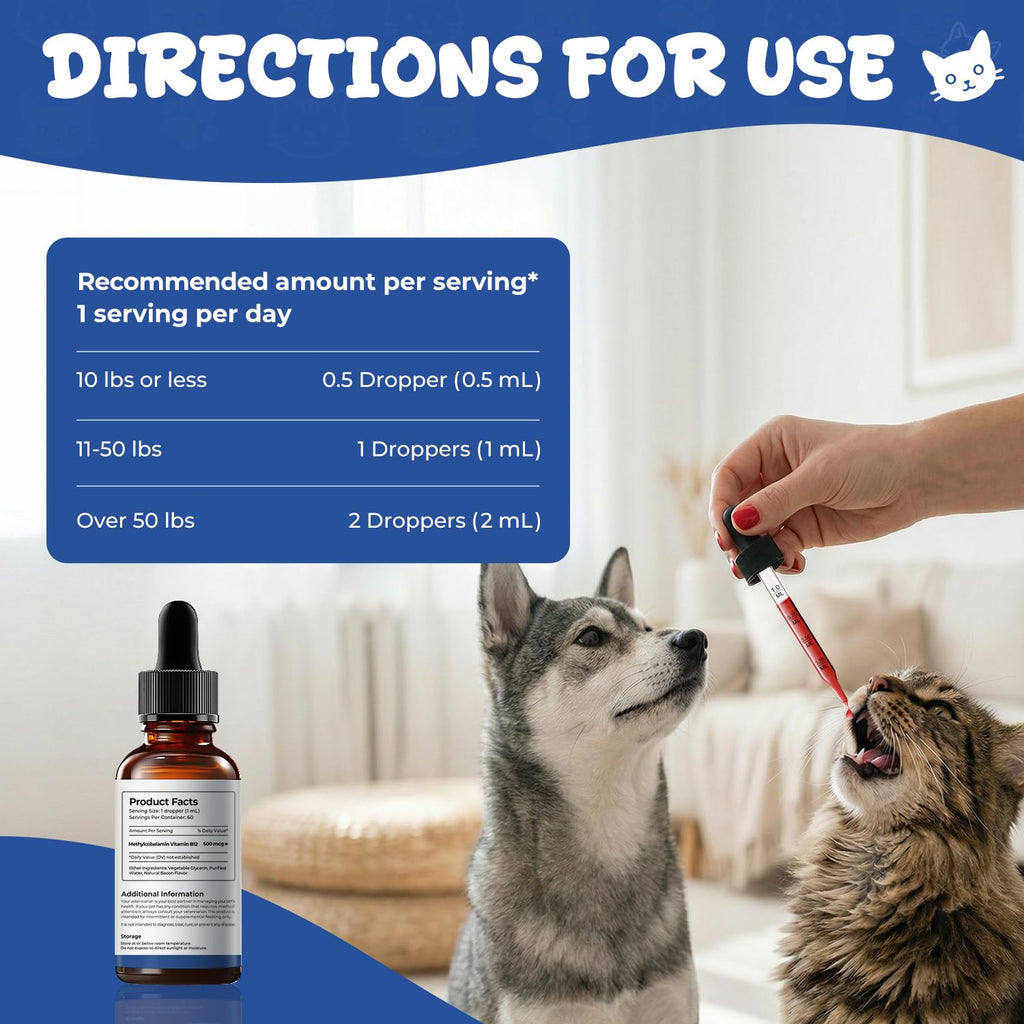 Vitamin B12 Drops with Methylcobalamin H649725