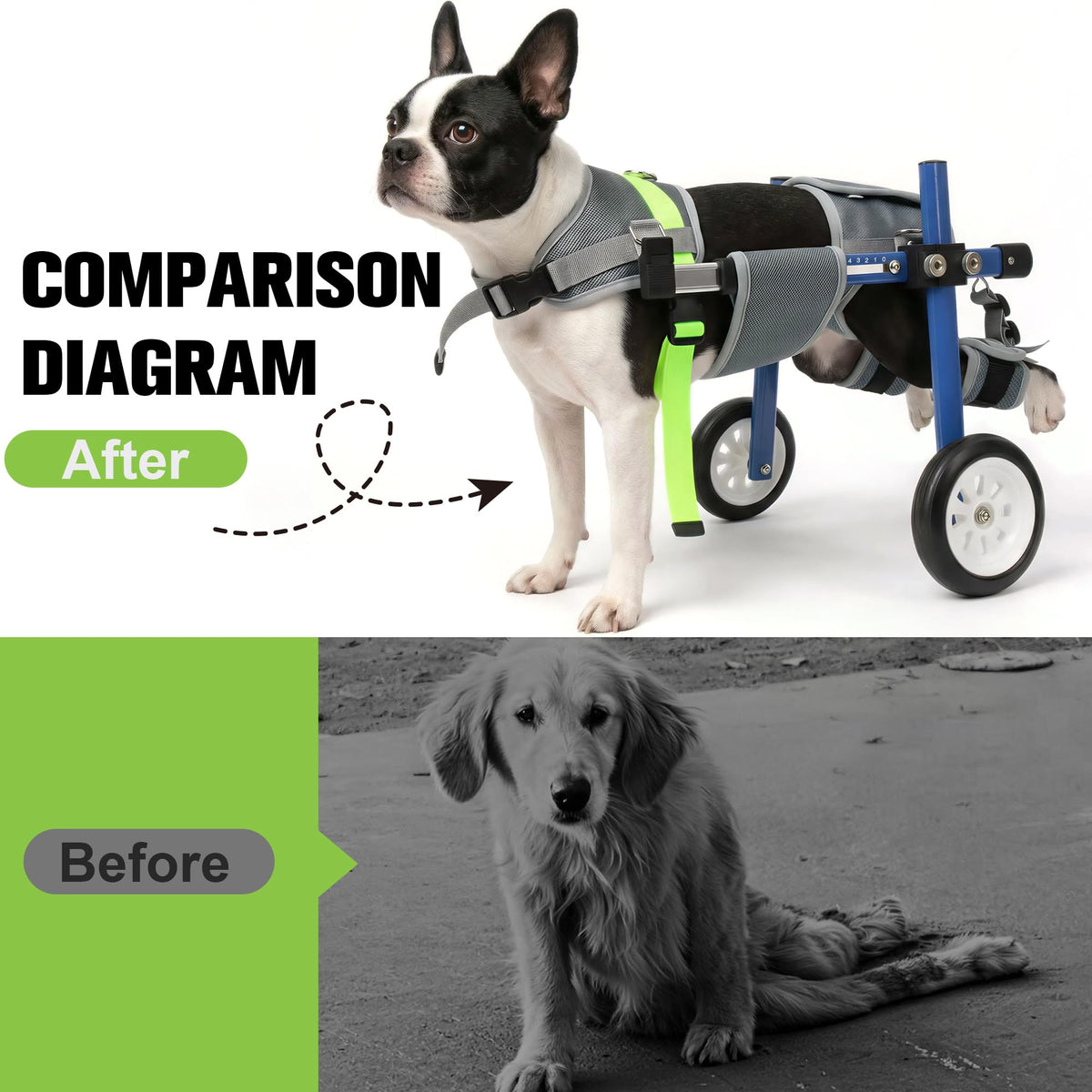 Adjustable Dog Wheelchair for Back Legs S873949
