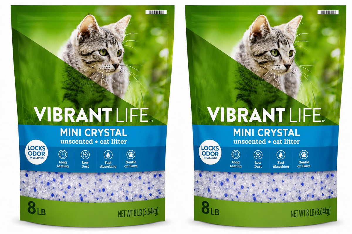 Unscented 8 lb Bag 2 Count Cat Litter B573152