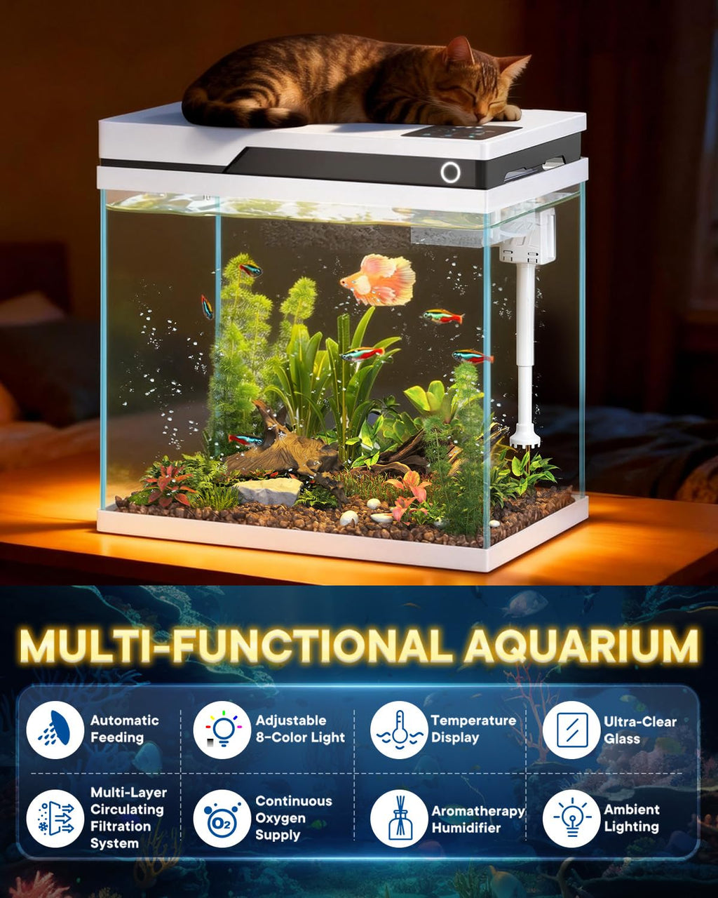 7 Gallon Fish Tank L259