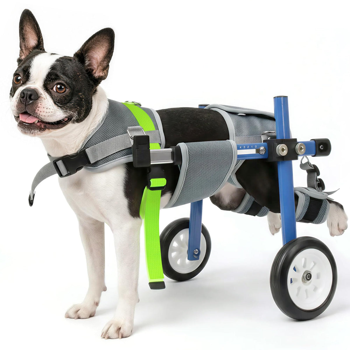 Adjustable Dog Wheelchair for Back Legs S873949