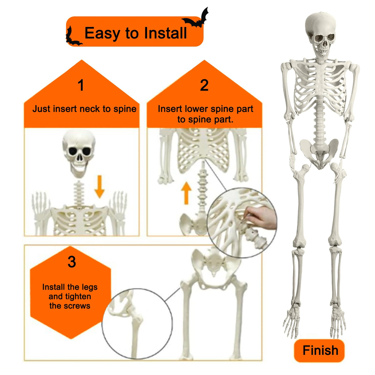5.4ft Poseable Skeleton U4600