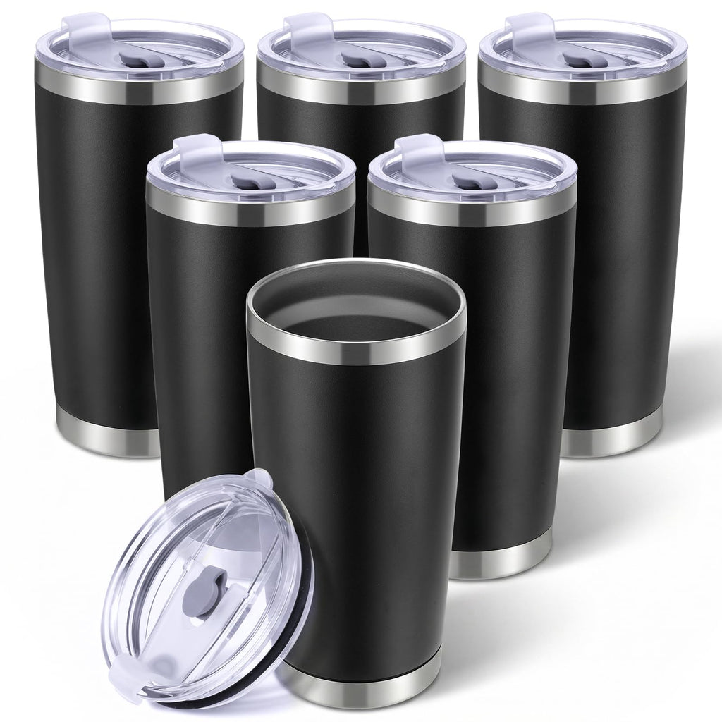 6 Pack 20oz Stainless Steel Insulated Tumbler with Lid O417