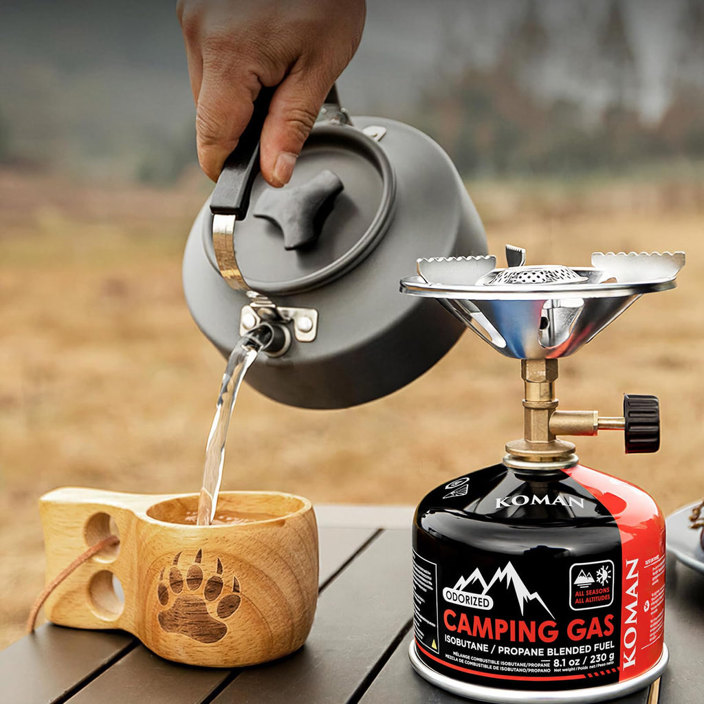 230 Gram Isobutane Butane Propane Camping Fuel Canister Pack of 6 E819