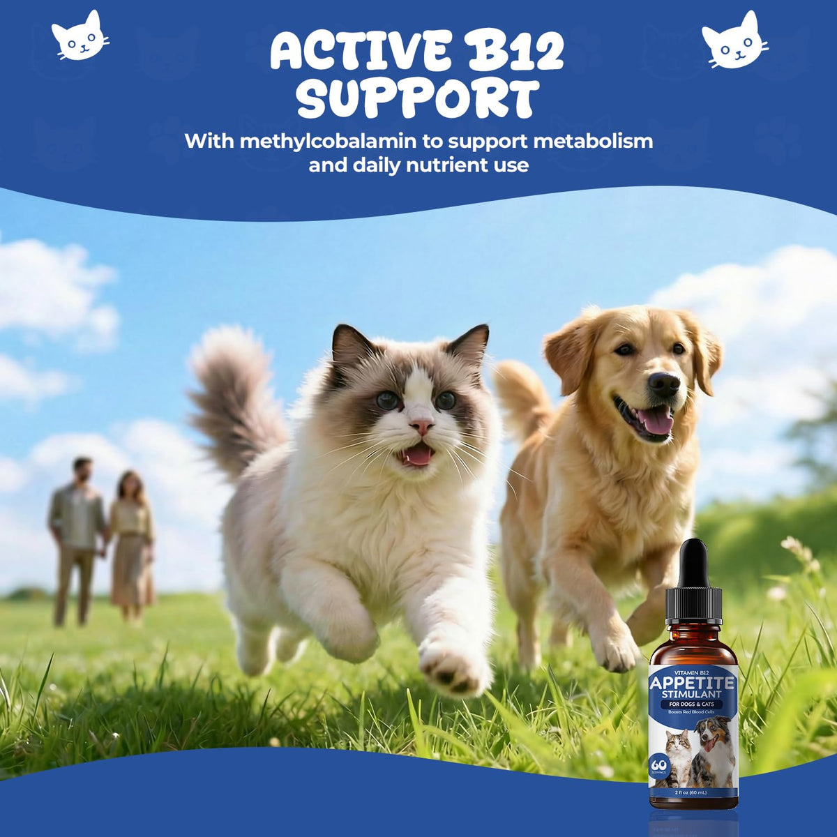 Vitamin B12 Drops with Methylcobalamin H649725