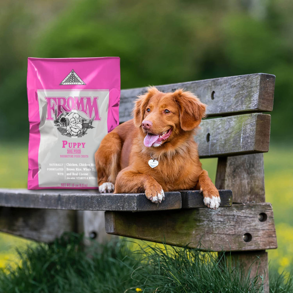 Dry Puppy Food Chicken Recipe 15 lb O43497