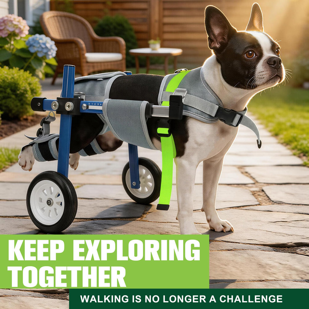 Adjustable Dog Wheelchair for Back Legs S873949