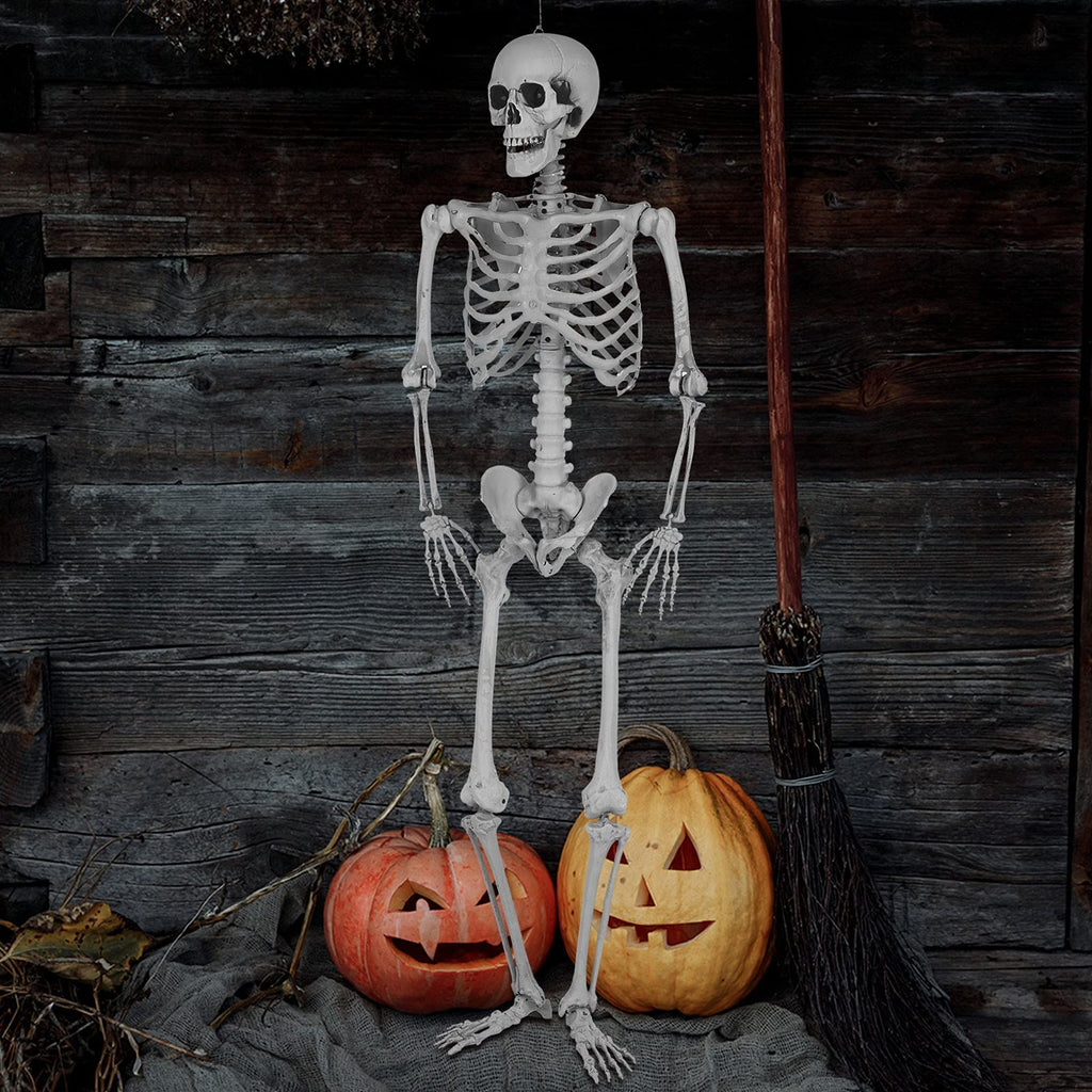 5.4 Ft Lighted Life Size Plastic Skeleton with Movable Joint B431443