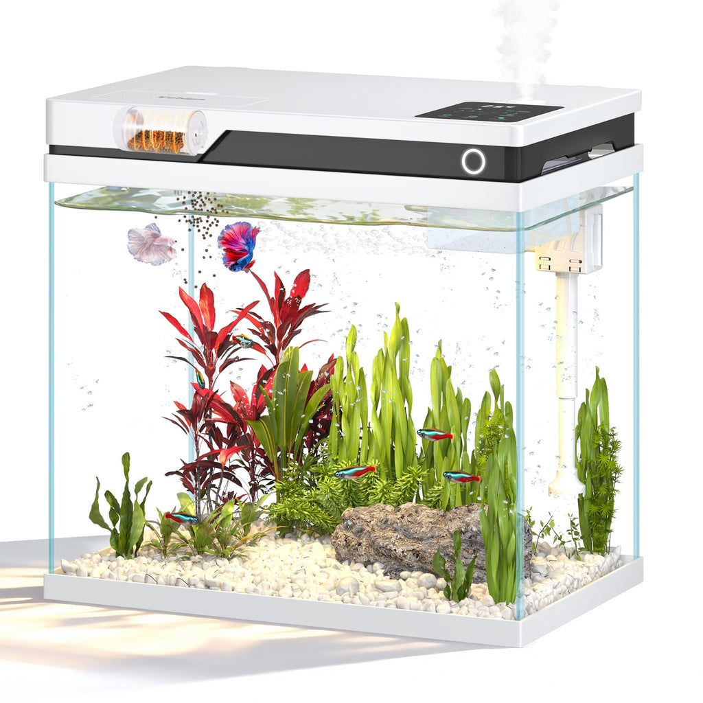 7 Gallon Fish Tank L259