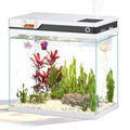 7 Gallon Fish Tank L259