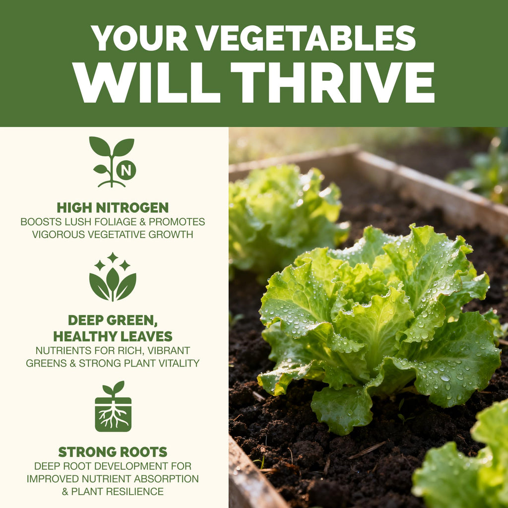 1 Gallon Vegetable Fertilizer D646212