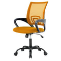 Office Chair with Lumbar Support, Adjustable Height W809
