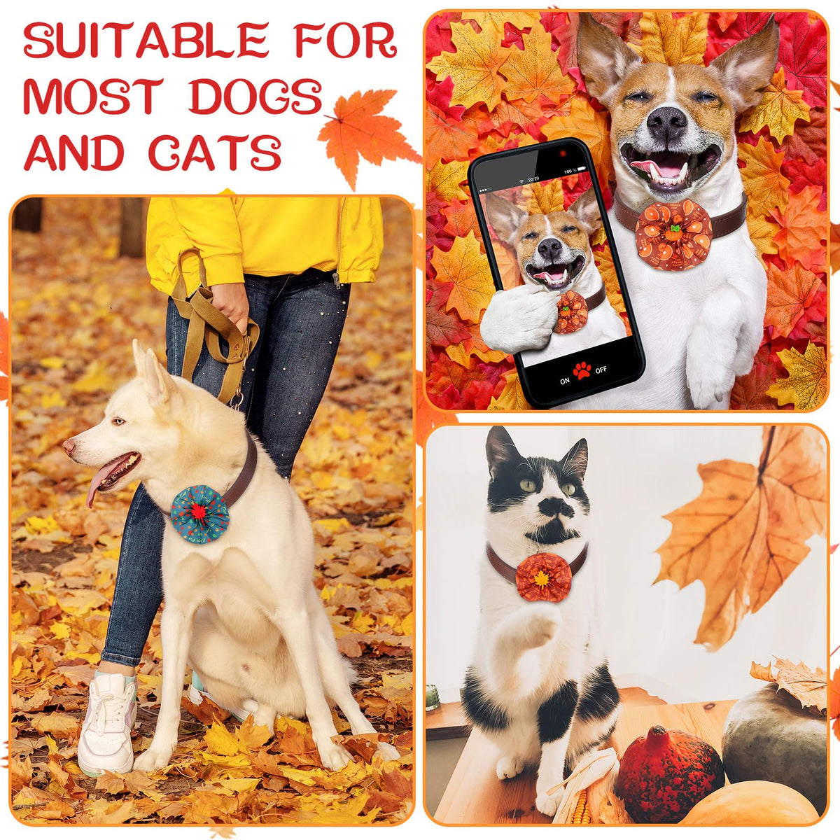 100 Pcs Dog Collar Flower Bows G702277