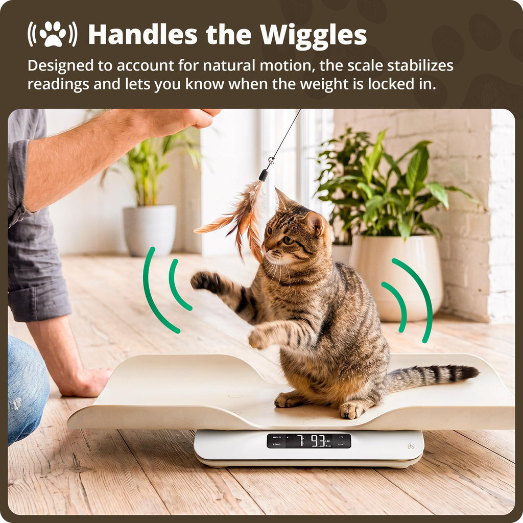 Digital Pet Scale for Cats, Dogs & Small Animals M27142