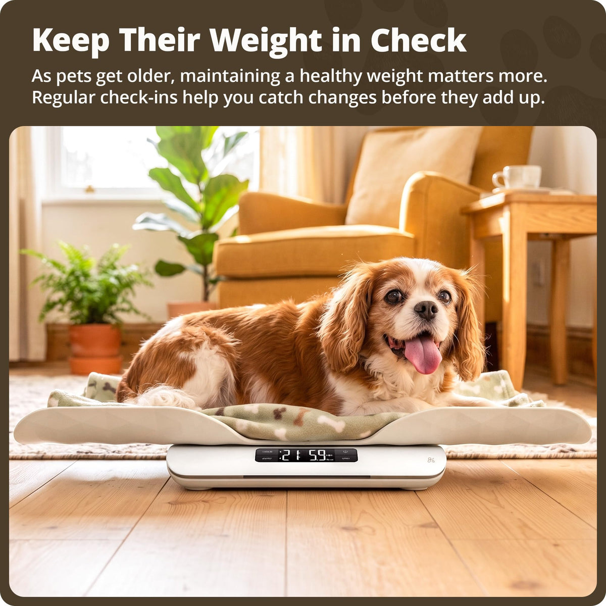 Digital Pet Scale for Cats, Dogs & Small Animals M27142