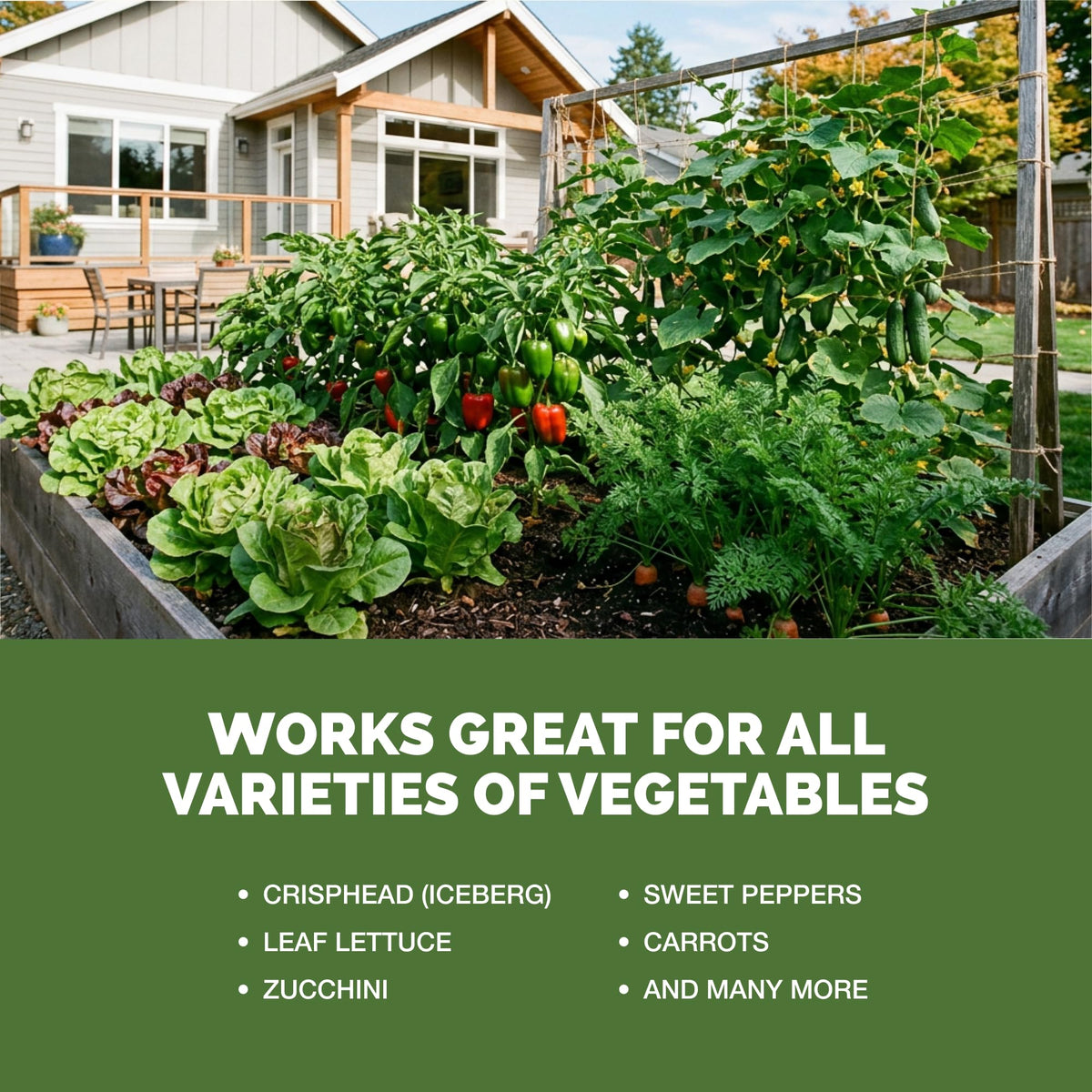 1 Gallon Vegetable Fertilizer D646212