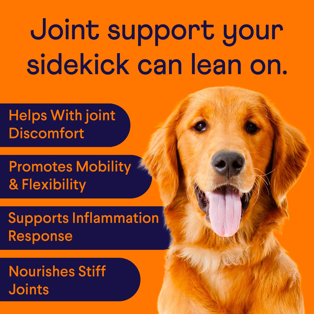 Hip & Joint Chews for Dogs, 90 Ct O97743