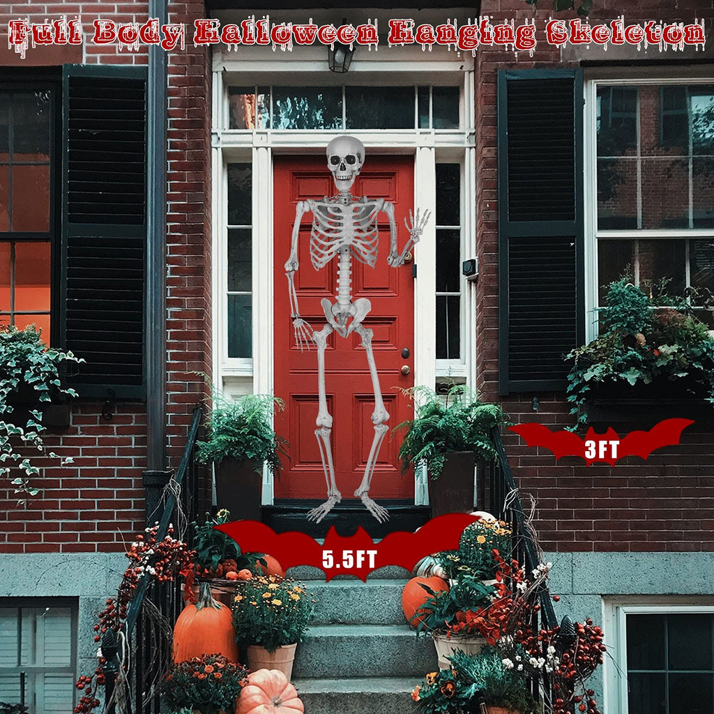 5.4 Ft Lighted Life Size Plastic Skeleton with Movable Joint B431443